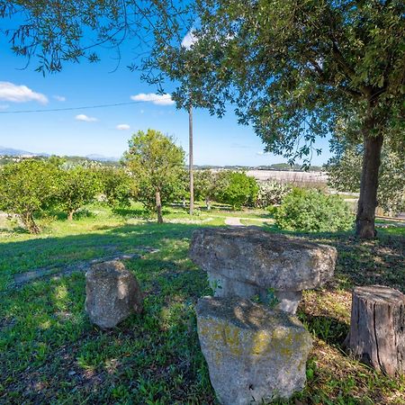 Finca es Rafal, Agroturisme Montuiri  Exterior foto